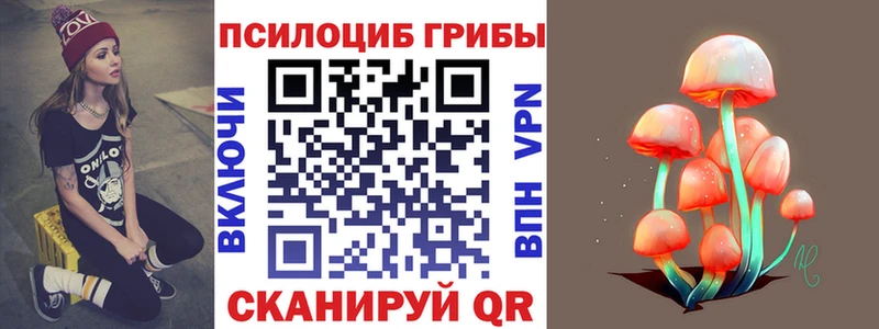 Псилоцибиновые грибы ЛСД  blacksprut вход  Черемхово  купить  сайты 