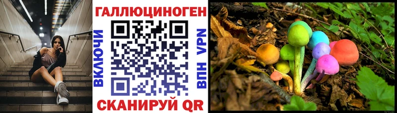 Псилоцибиновые грибы мухоморы Черемхово